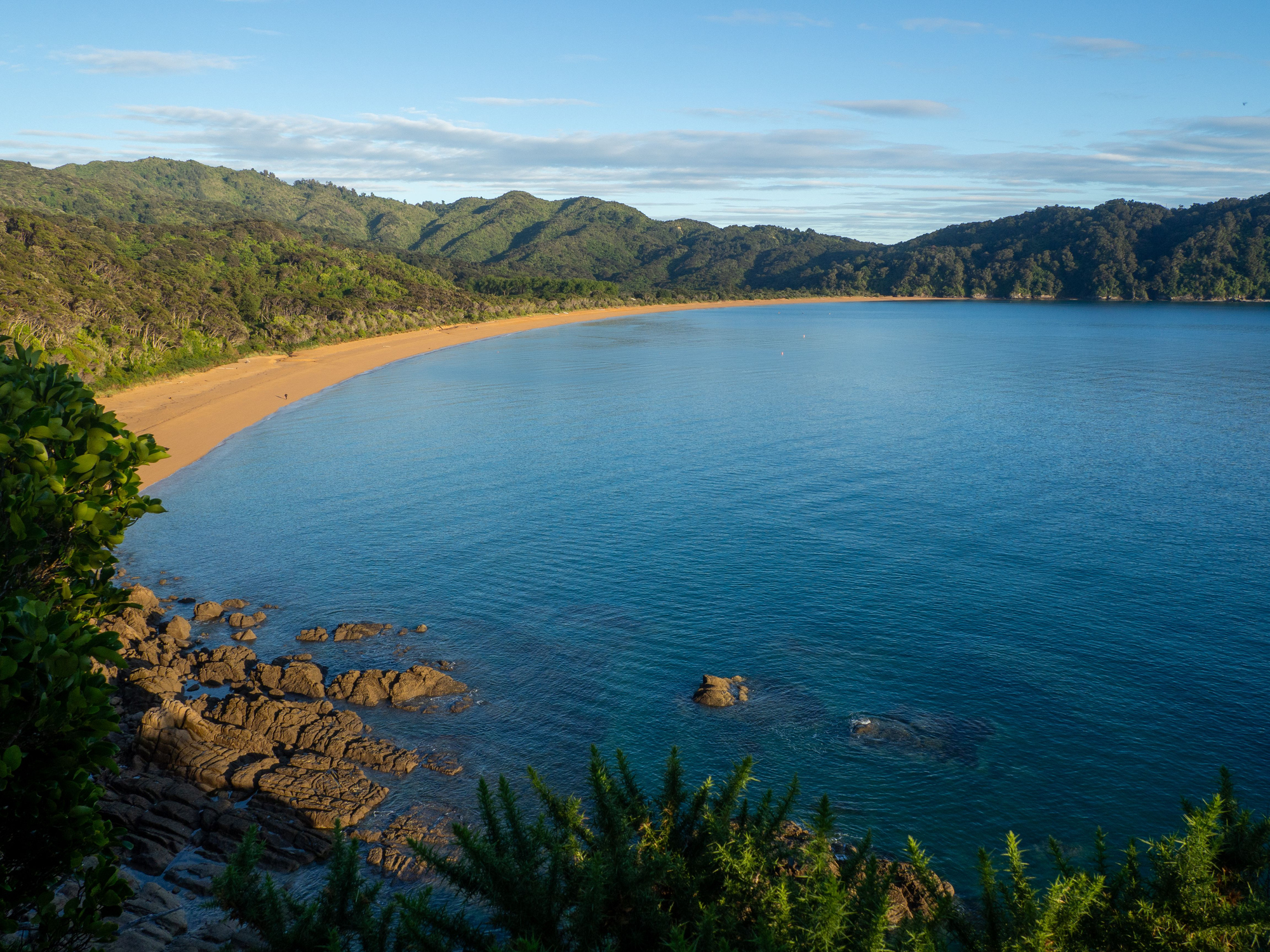Malerische Aussicht auf eine ruhige Bucht mit üppig grünen Hügeln und einem Sandstrand unter blauem Himmel im Abel-Tasman-Nationalpark, Neuseeland.