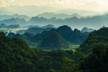 Dschungel und Berge des Cat Ba Nationalparks auf der Insel Cat Ba, Vietnam