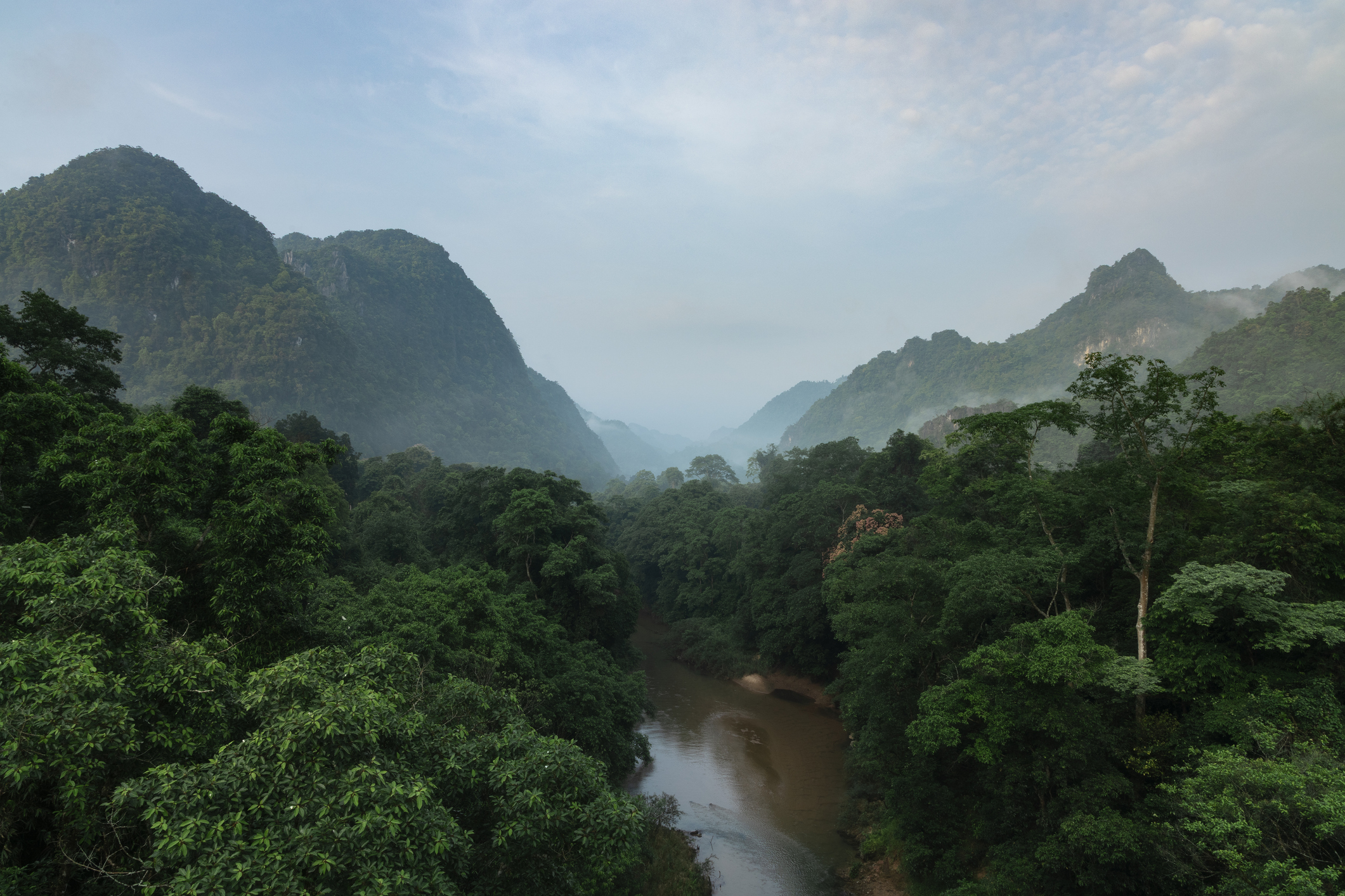Panoramablick auf das dichte Blätterdach und die hoch aufragenden Kalkstein-Karstberge des Nationalparks Phong Nha-Ke Bang