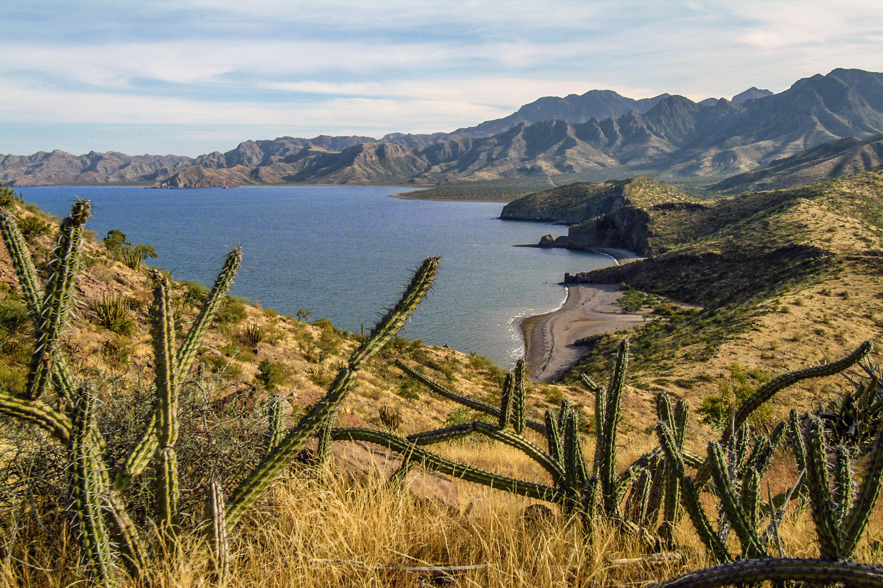 Landschaft der Sonora-Wüste entlang der südlichen Baja-Halbinsel und des Golfs von Kalifornien. Baja California Sur, Mexiko.