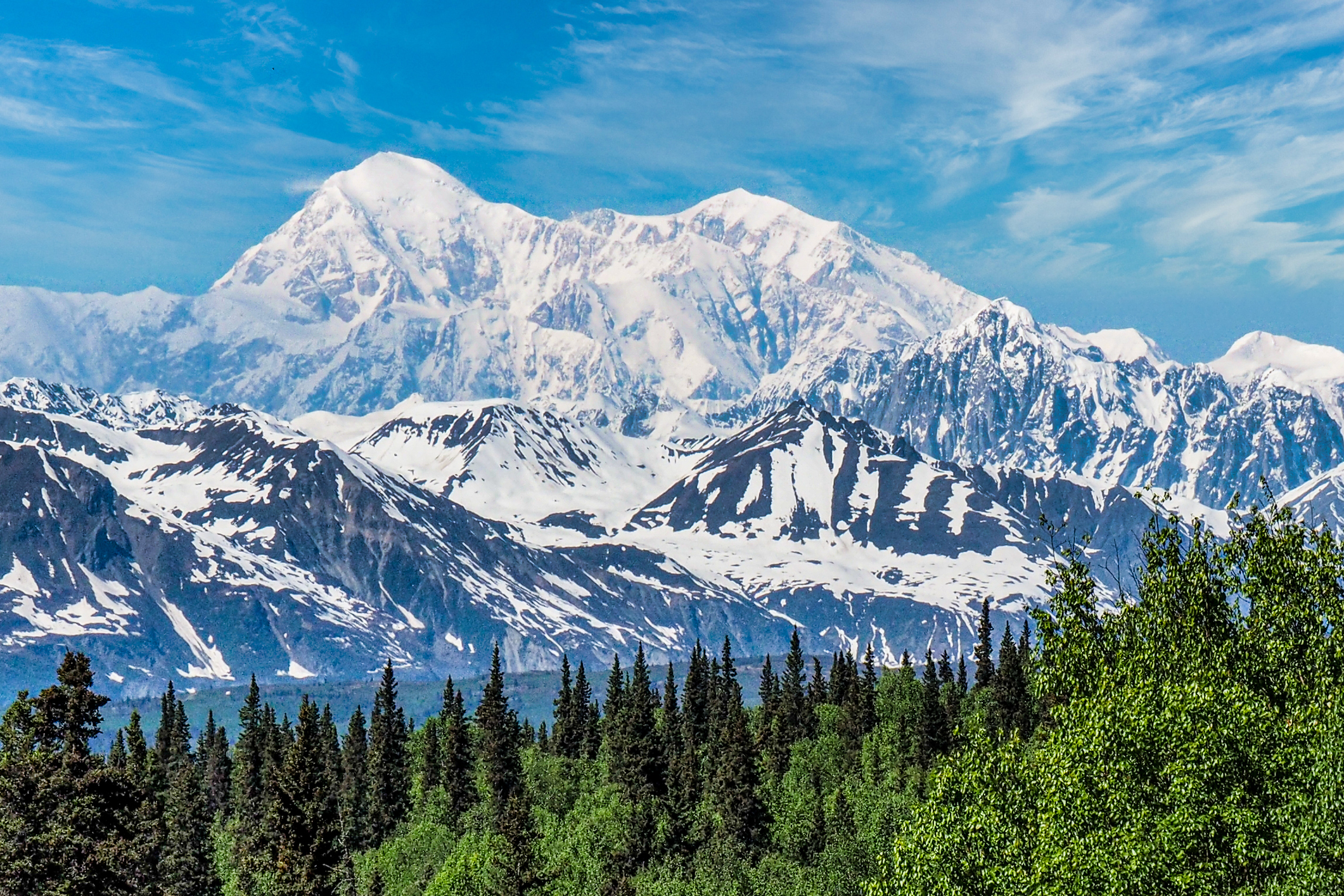 Der Berg Denali mit Schnee und einem Wald im Vordergrund