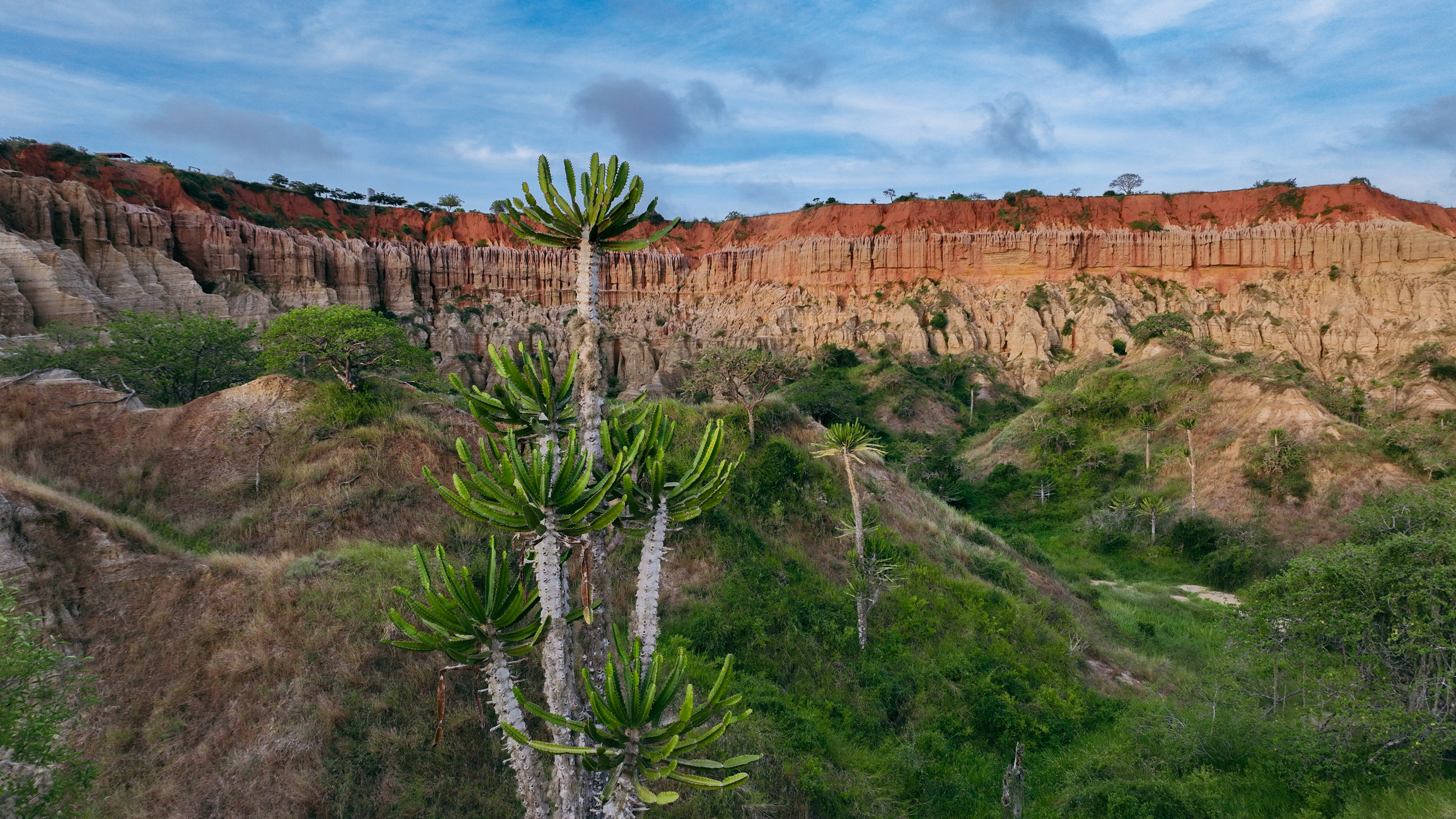 Atemberaubender Blick auf das Mondtal in Angola mit seinen einzigartigen Felsformationen und üppigem Grün bei Tageslicht