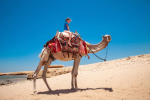 Junges Mädchen reitet auf einem Kamel