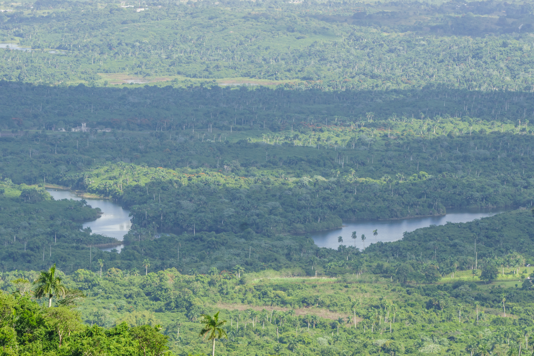 Las Terrazas, Cuba