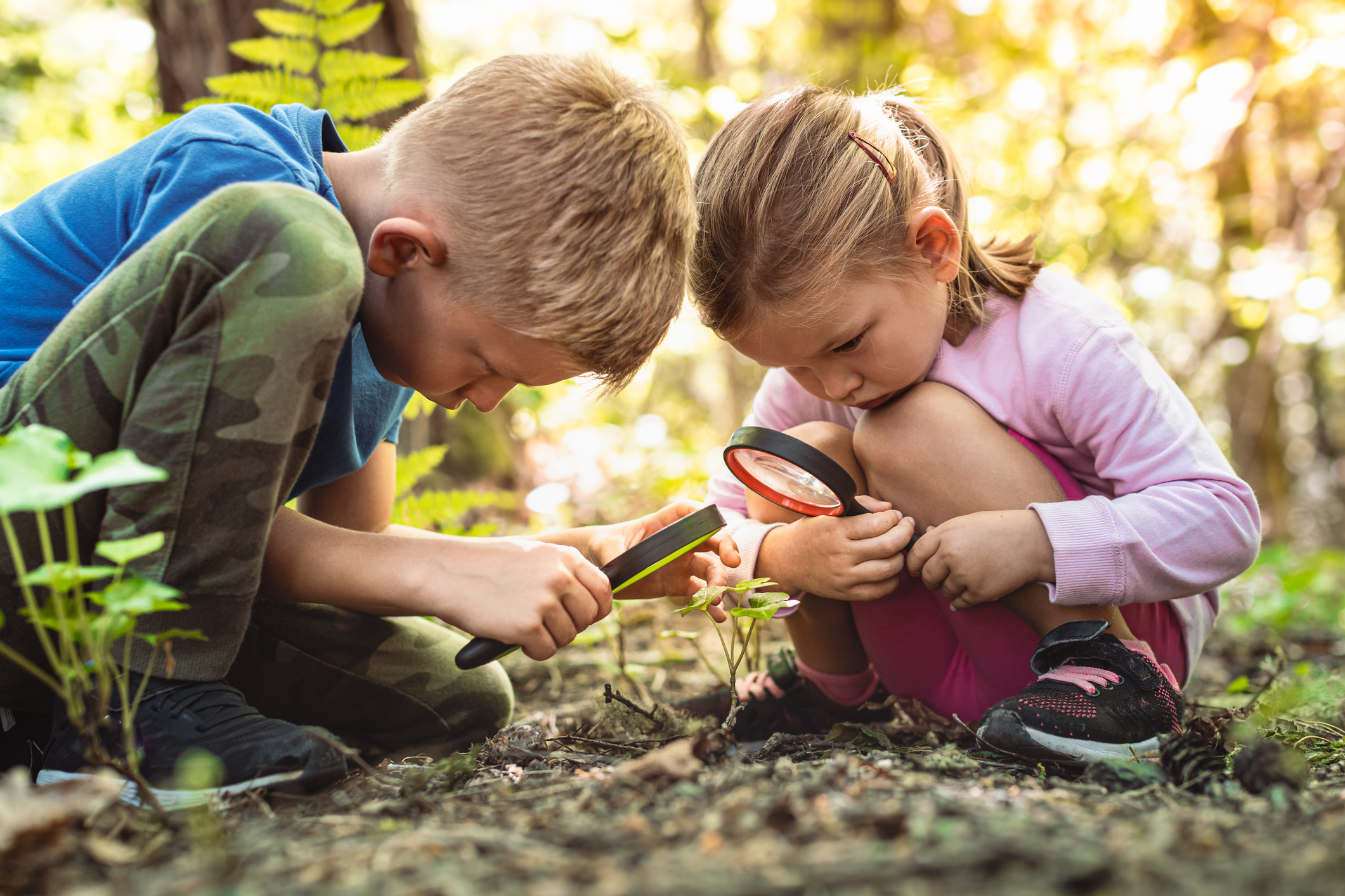 Kinder erkunden den Wald mit einer Lupe