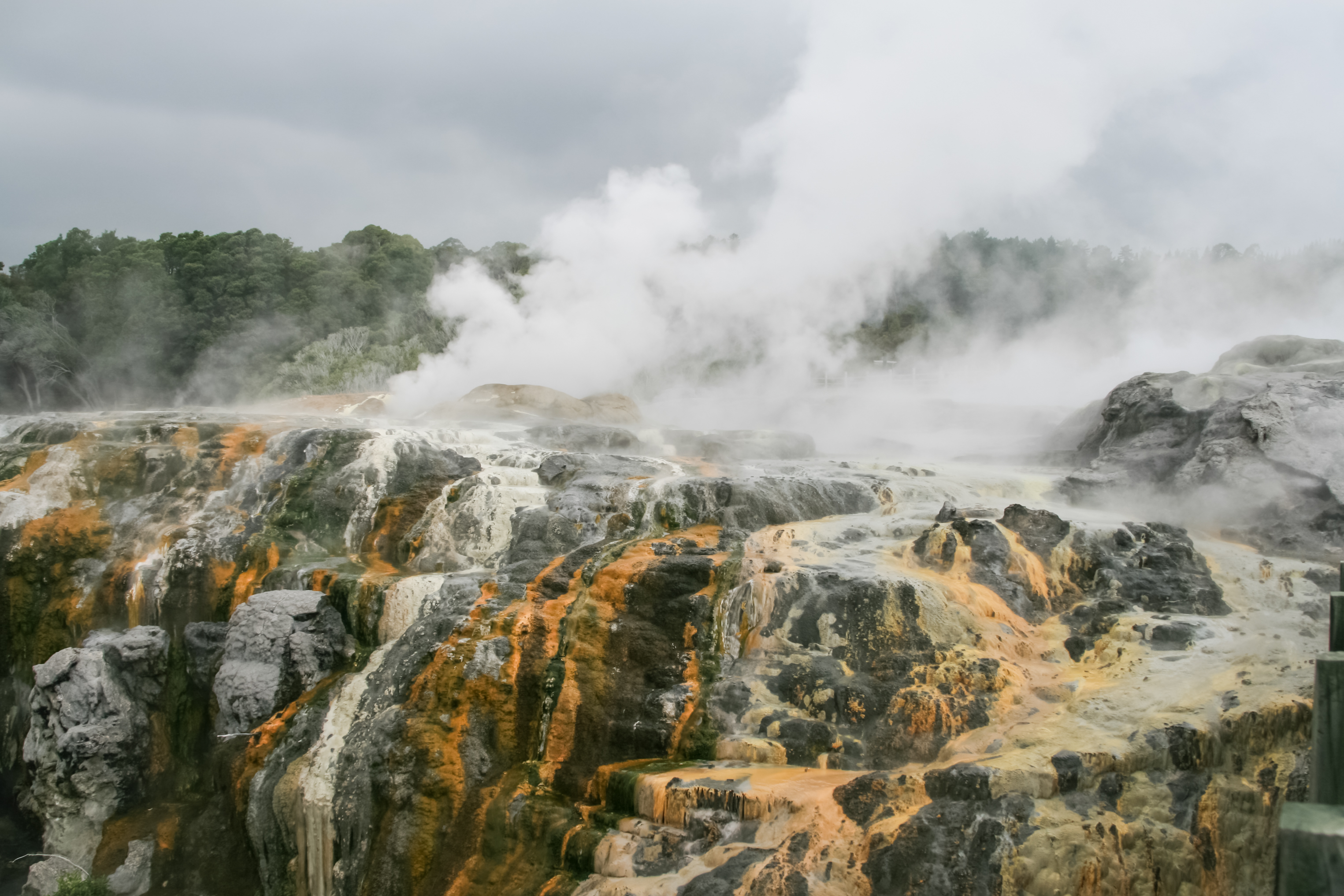 Neuseeländische Dampfgeysire. Neuseeländische Landschaften.
