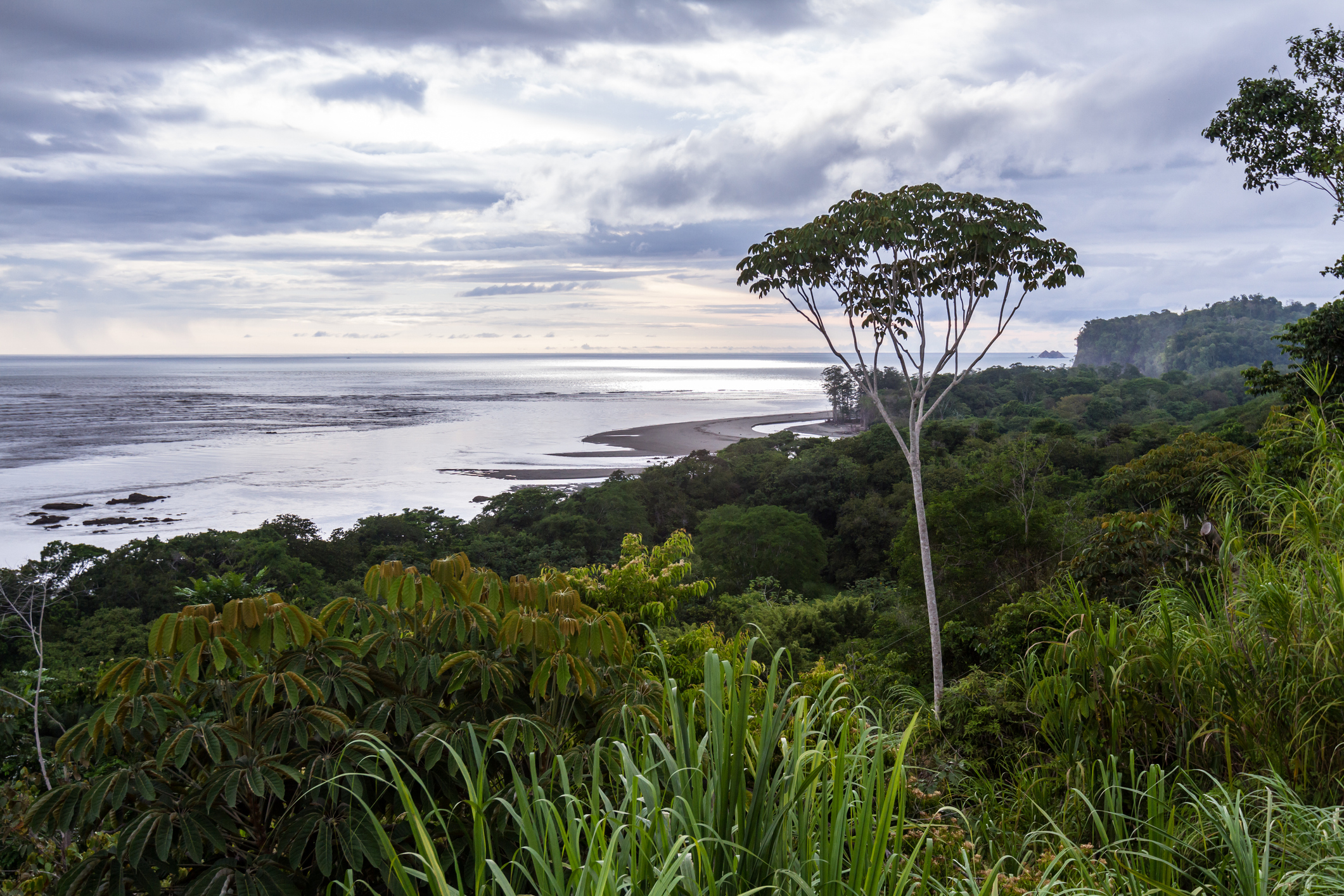 Wunderschöner, ruhiger Ausblick von einem Hügel an der unberührten Südpazifikküste Costa Ricas.