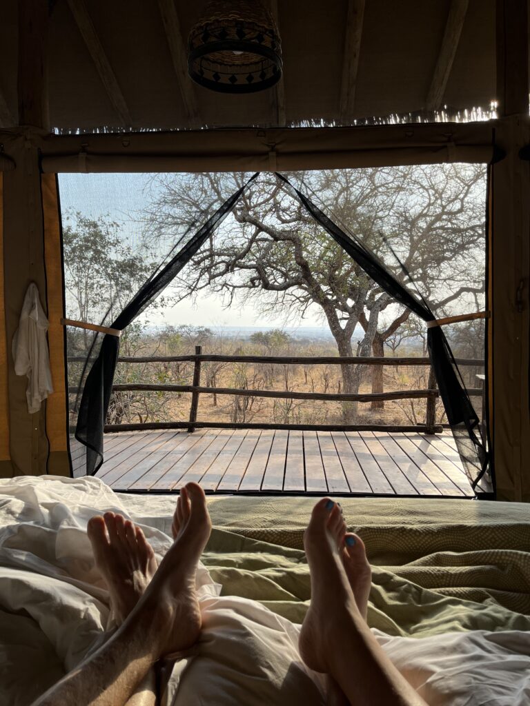 Entspannung und Genuss des Ausblicks auf die Savanne im Tarangire-Nationalpark in Tansania, Afrika