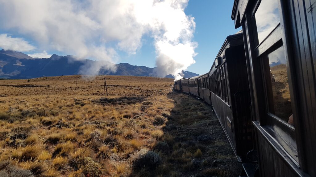 Patagonia Express Zug in der Landschaft Patagoniens
