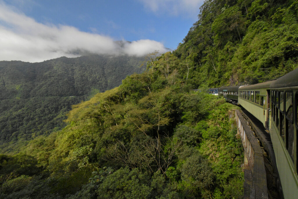 Zug durch das grün der Landschaft Brasiliens