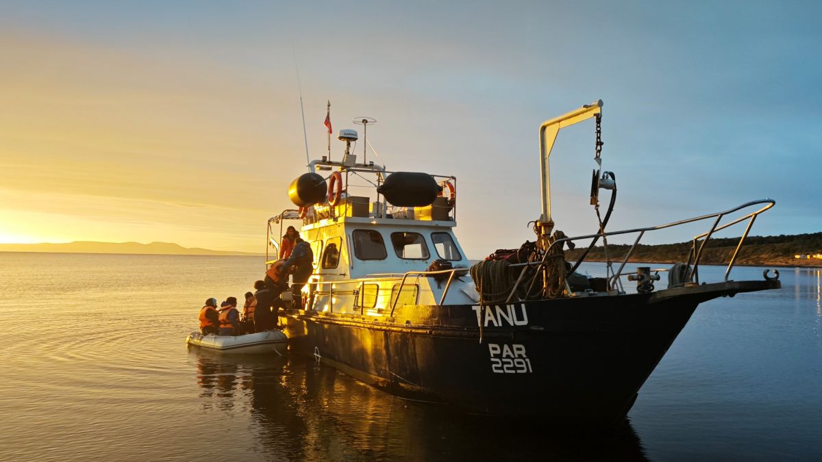 Im ersten Licht des Tages – Boot auf Expedition im Meer von Chile