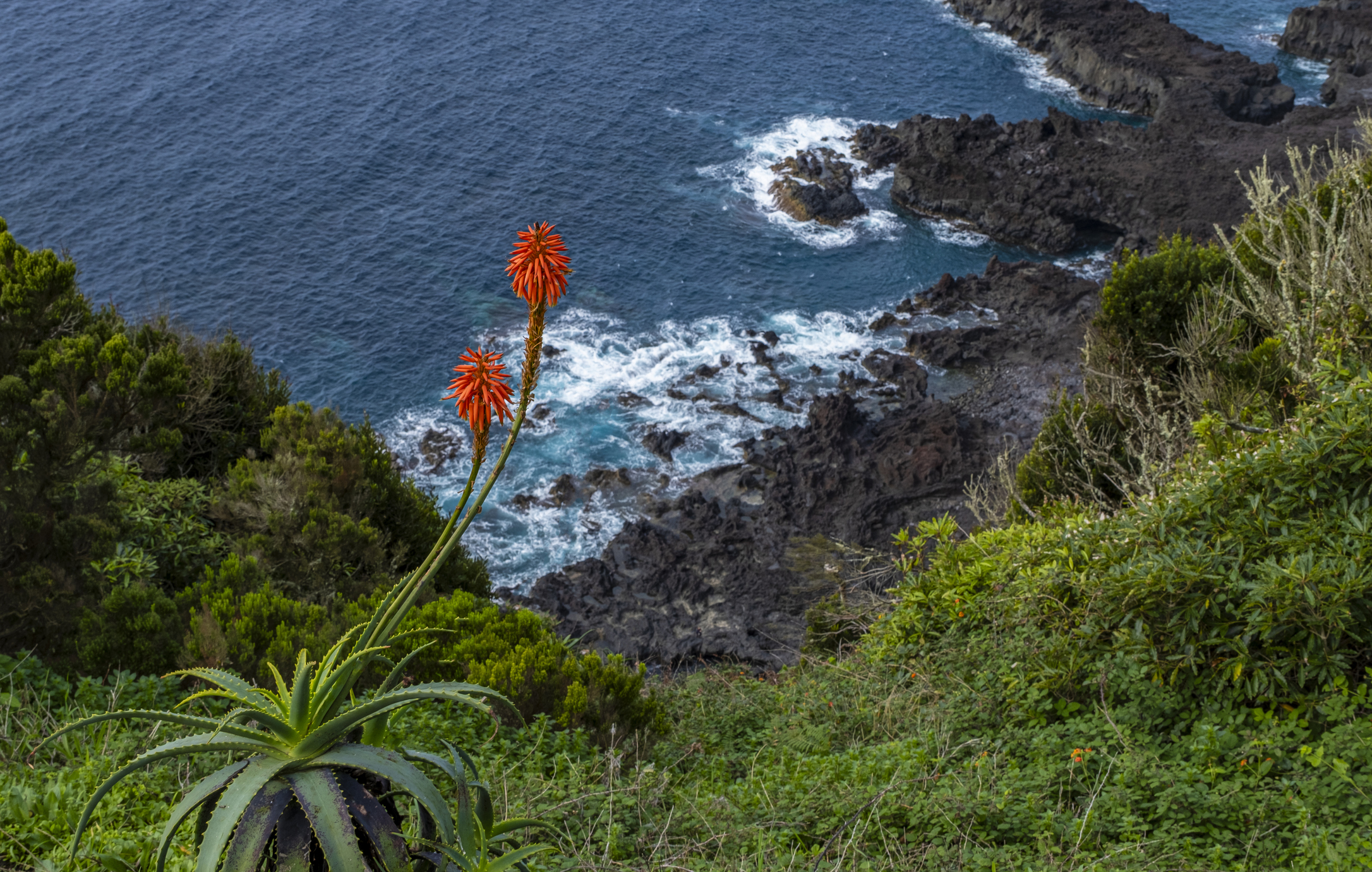 Blick hinunter auf die beeindruckende Küstenlinie von Ponta da Ferraria im Westen der Azoreninsel São Miguel.