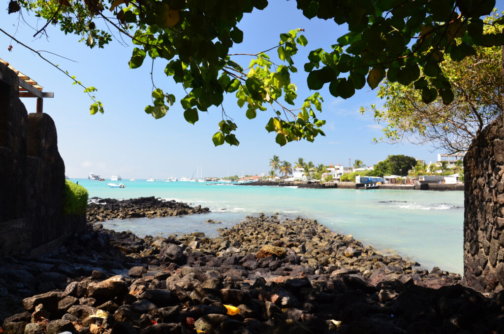 Ein Blick auf das Hafengebiet von Puerto Ayora auf der Insel Santa Cruz, Galapagos-Inseln, Ecuador.