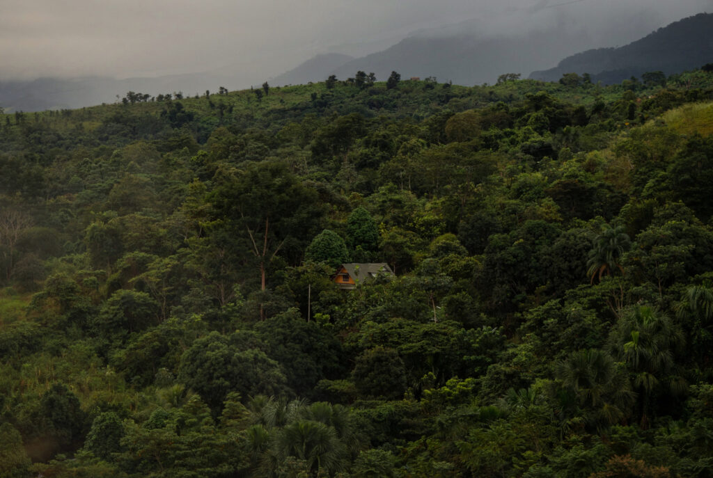 Idyllisches Holzhaus in einem üppig grünen Tropenwald in Tarapoto, Amazonas-Regenwald, Peru, Südamerika