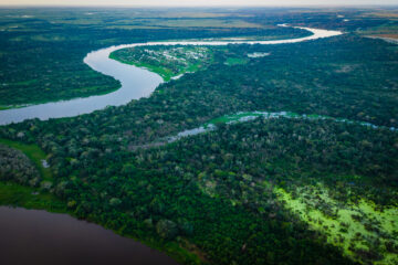 Luftbild-Panorama des Pantanal