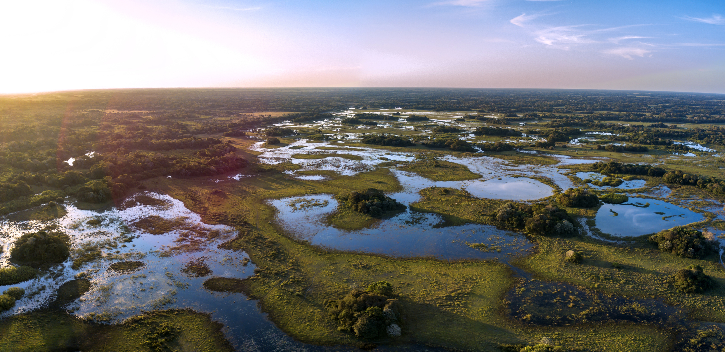 Pantanal fotografiert aus der Luft mit Sümpfen und Grün