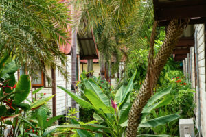 Gemütliche Holzhäuser in einem tropischen Resort mit üppiger Vegetation auf der thailändischen Insel