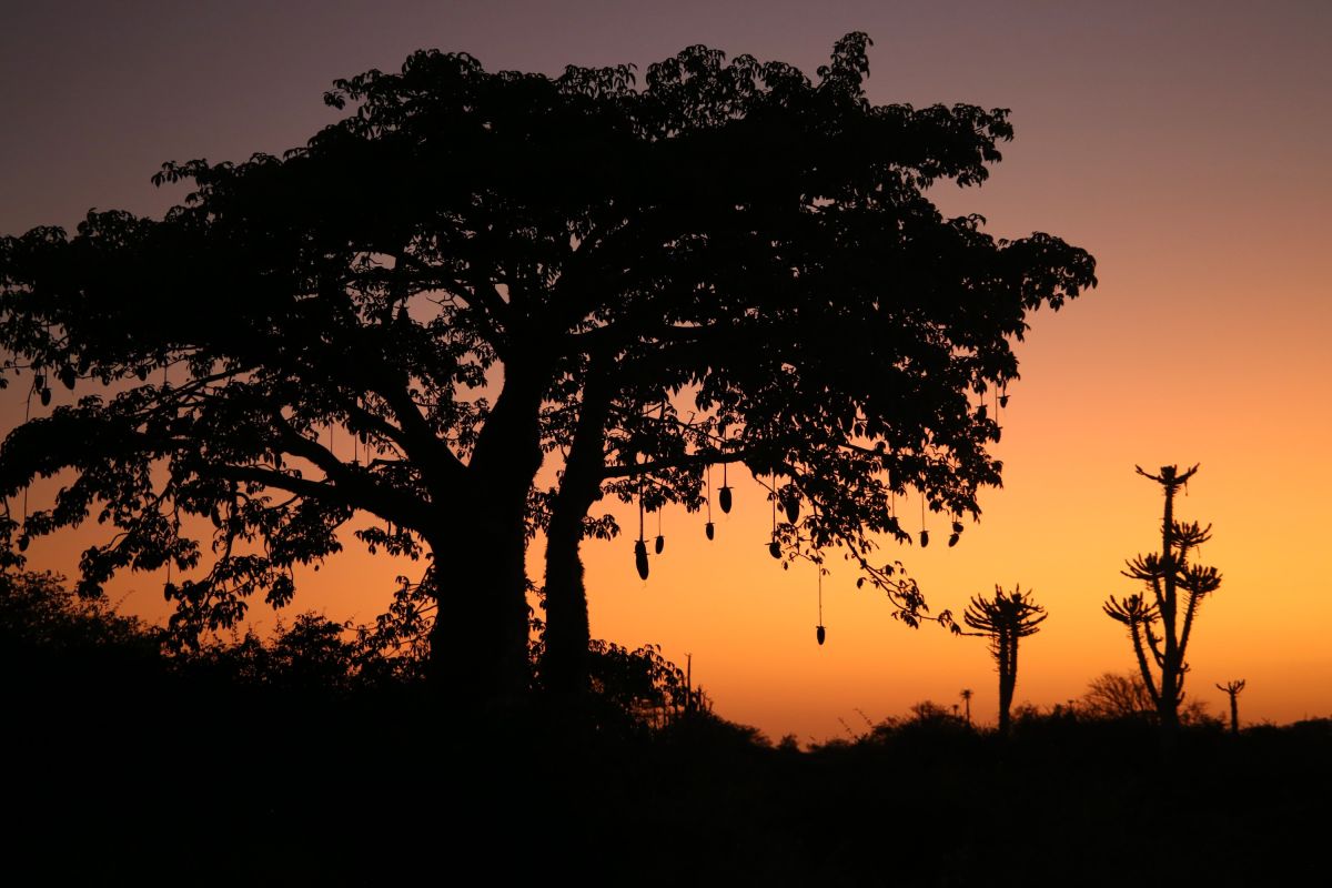 Sonnenuntergang in Angola: Ein beeindruckendes Naturerlebnis