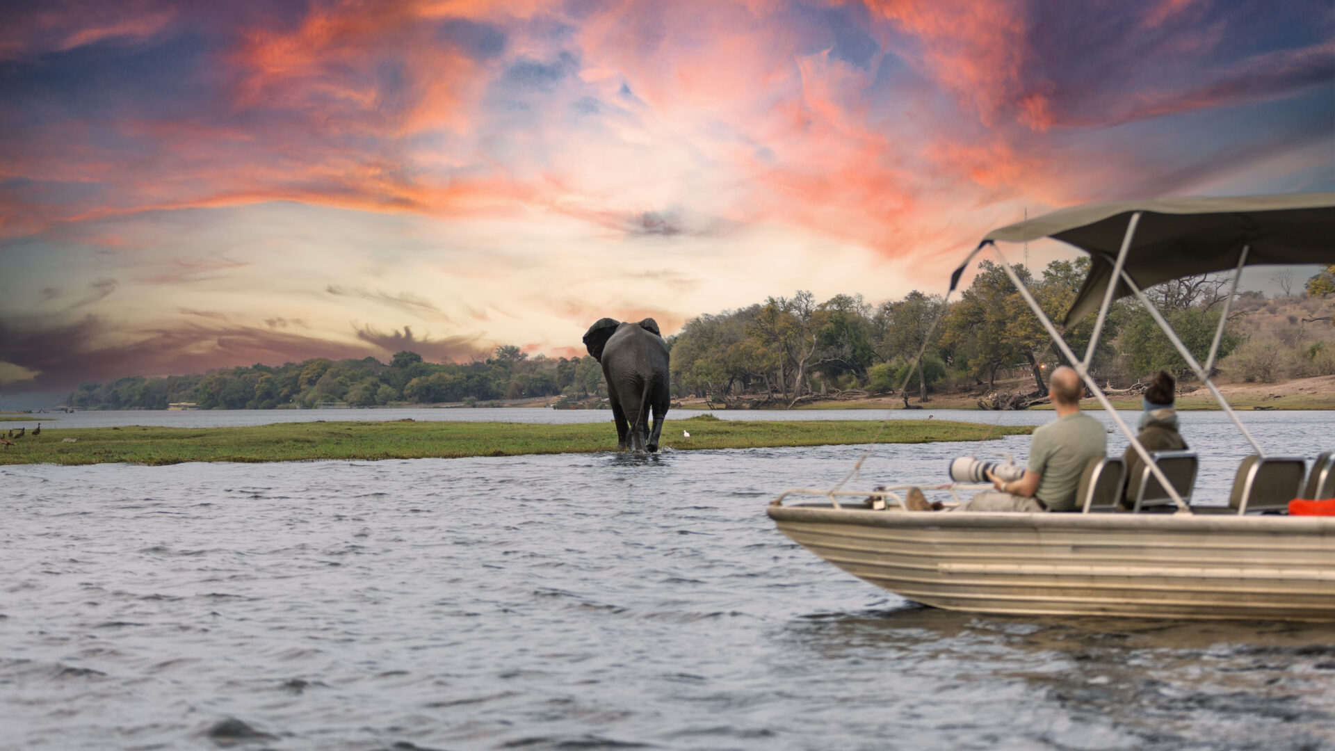 Reisende beobachten einen Elefanten vom Boot auf dem Chobe-Fluss in Botswana