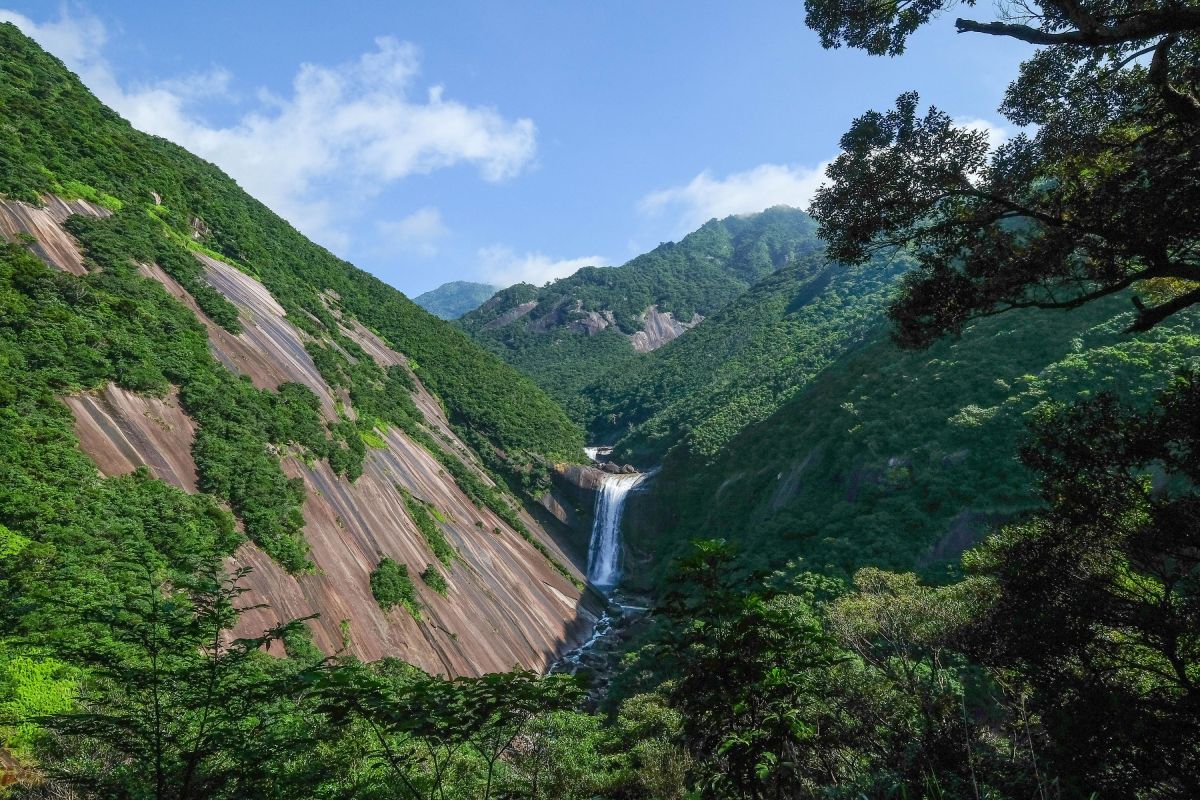 Erleben Sie das Naturparadies Yakushima mit seinen beeindruckenden Wasserfällen