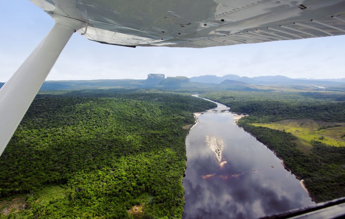 Luftansicht von Venezuela: Flüsse und dichte Wälder Südamerikas