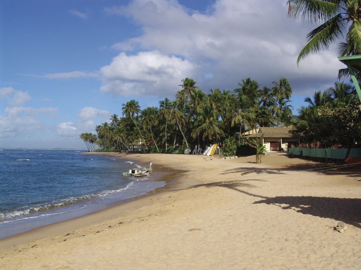 Erleben Sie den Strand von Praia do Forte in Brasilien
