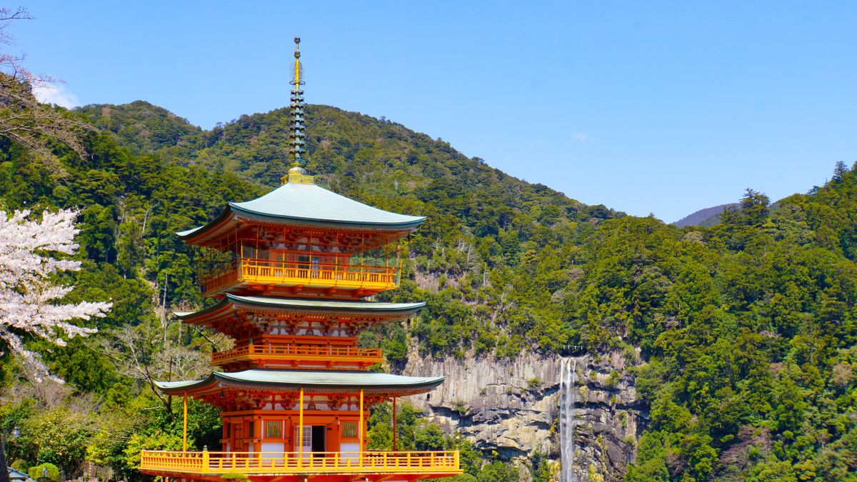 Erleben Sie Japan: Die prachtvolle Pagode mit Kirschblüten und dem Nachi-Wasserfall.