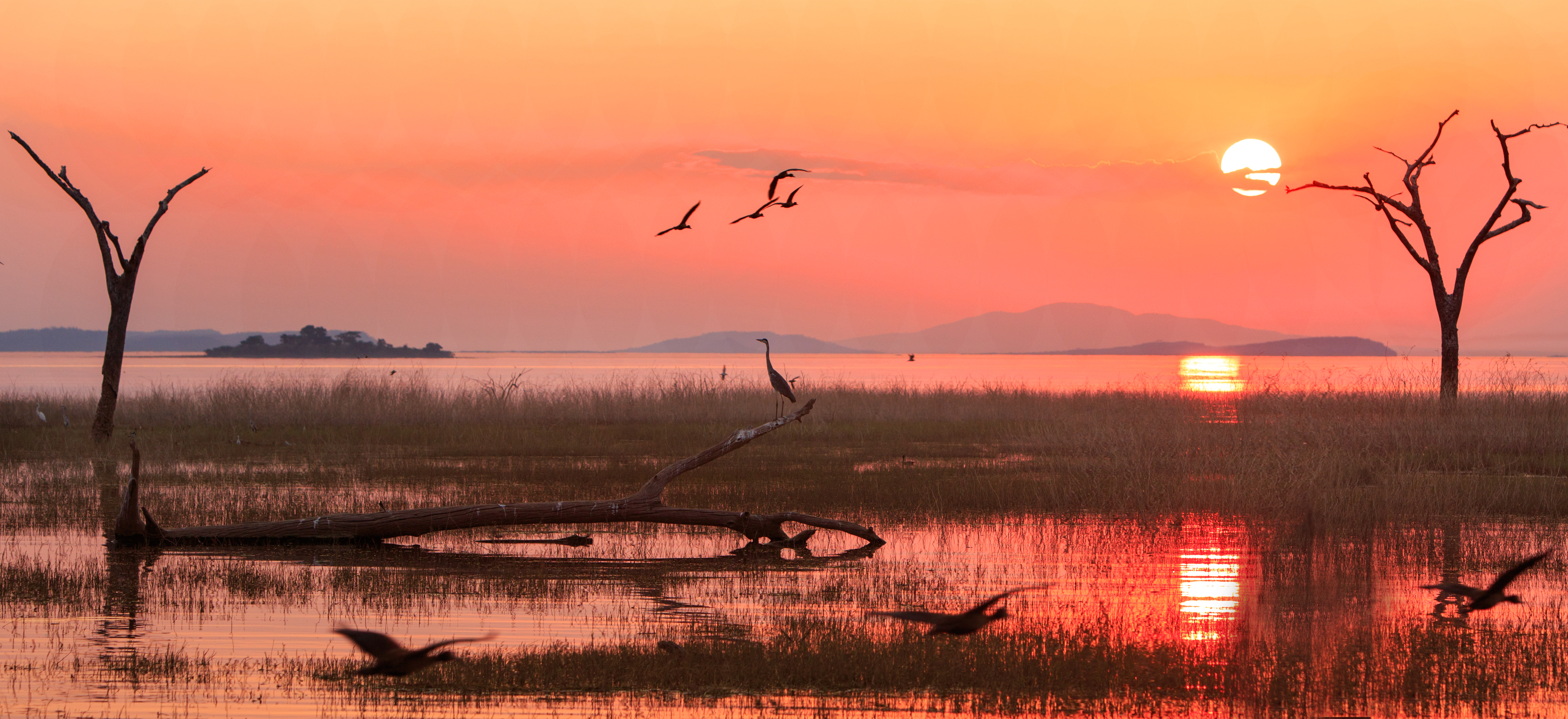 Beautiful Orange Sunset over Lake Kariba with birds flying and a heron silhouette with good reflection in water, Zimbabwe