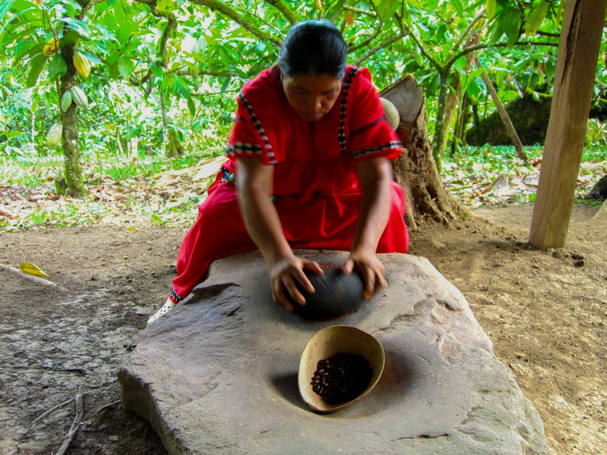 Oreba Schokoladenfarm – Schokoladenherstellung in Panama