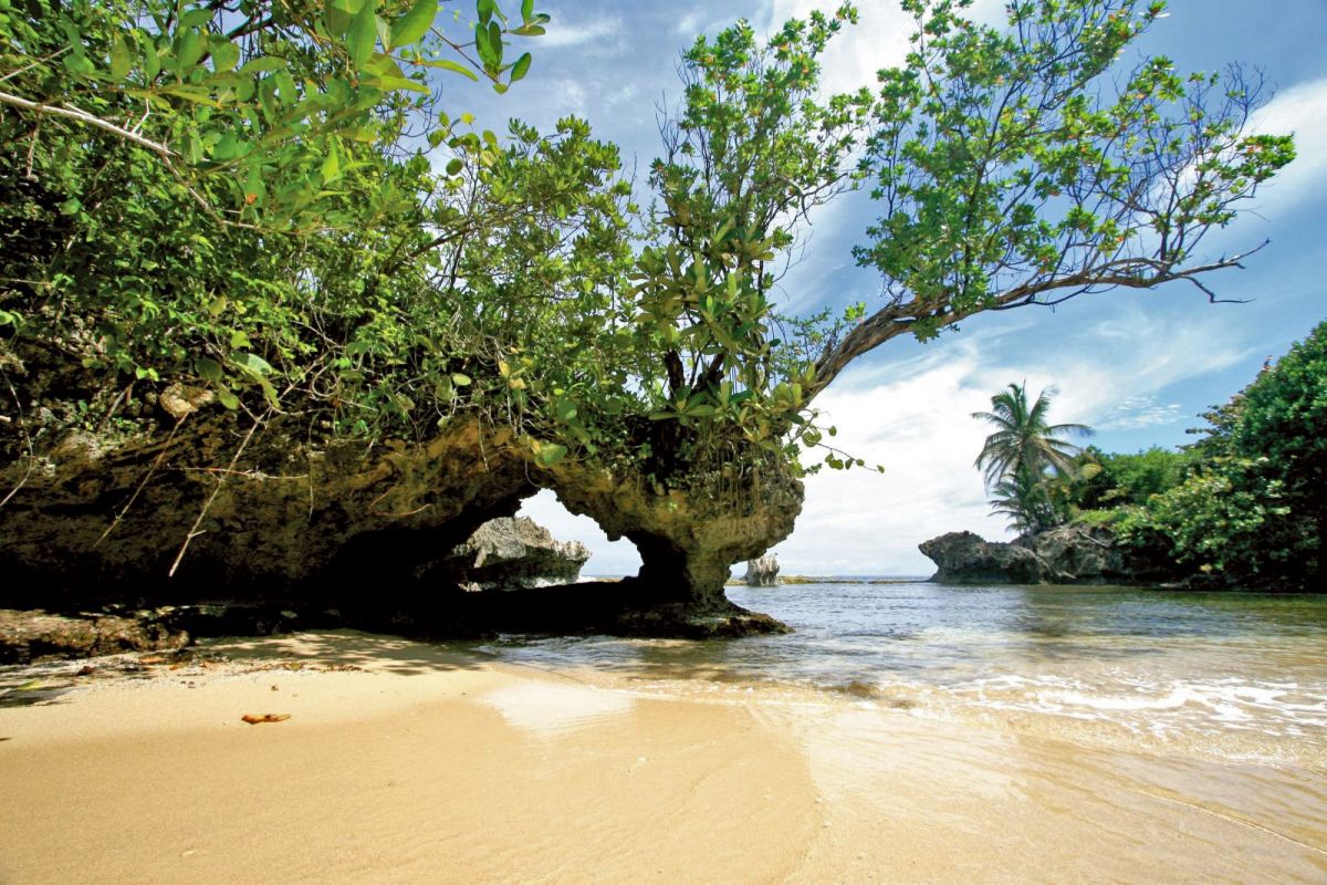Entspannen am Rotfrosch-Strand in Panama: Natur und Idylle erleben