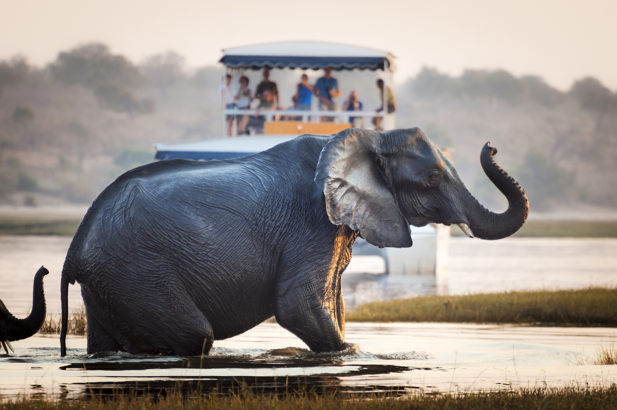Kosten einer Botswana Gruppenreise