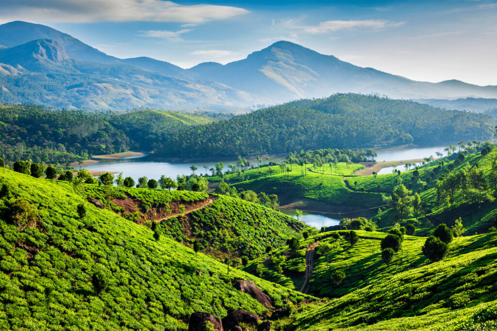 Teeplantagen und der Fluss Muthirappuzhayar in den Hügeln nahe Munnar, Kerala, Indien