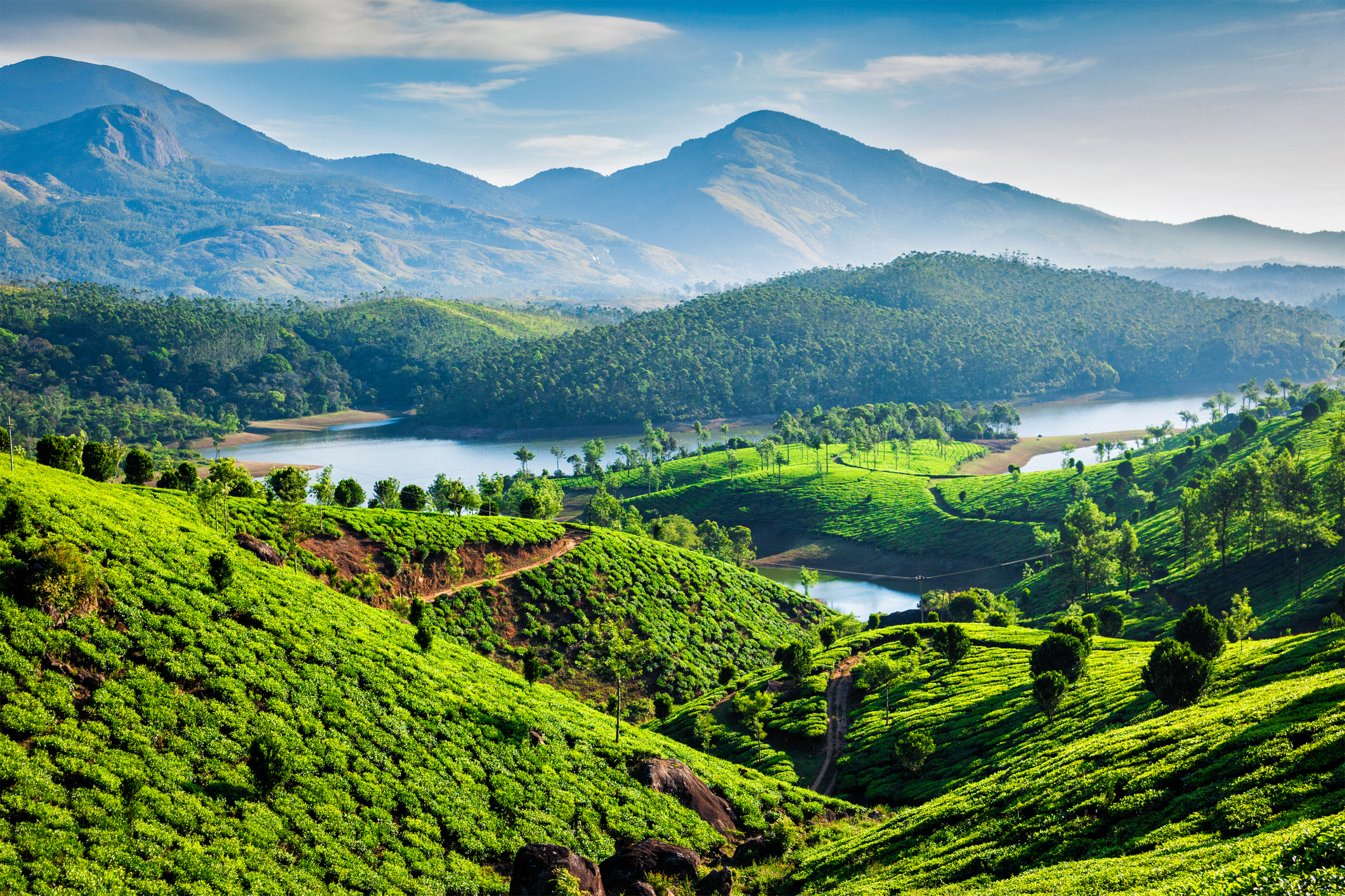 Teeplantagen und Flusslandschaft nahe Munnar in Kerala