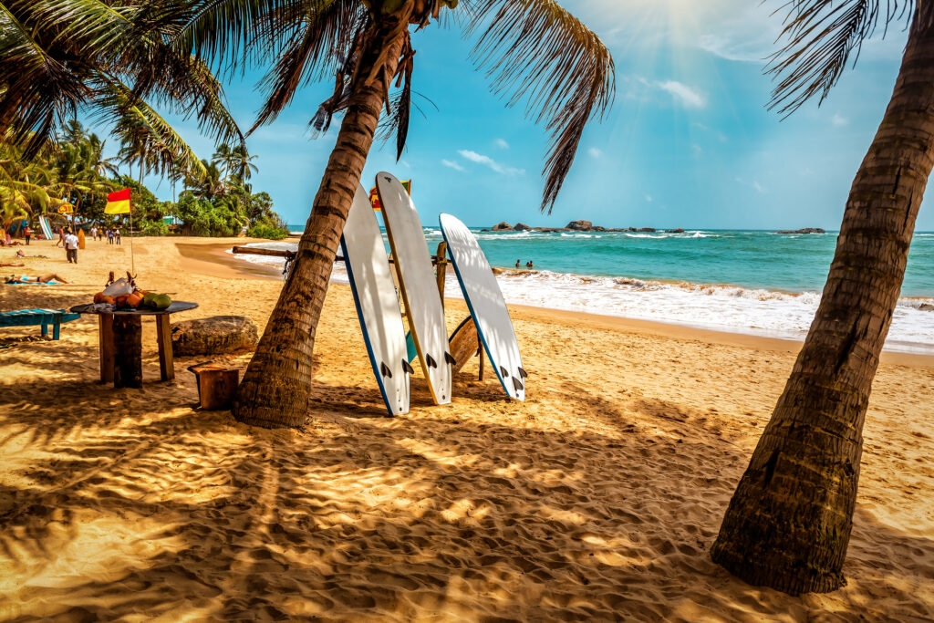 Surfbrett und Palme am Strand, Surfgebiet. Reiseabenteuer und Wassersport.