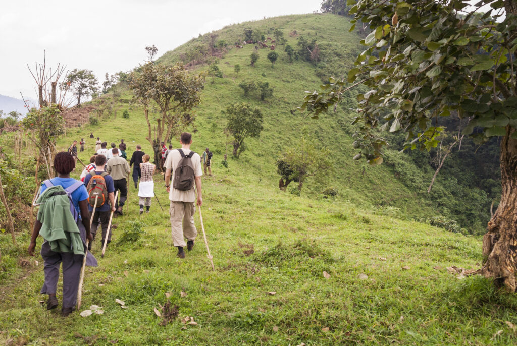 Touristen, Guides und Träger kehren von der Gorilla-Trekkingtour in Bwindi, Uganda, zurück.