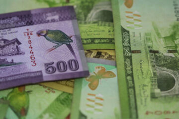 Mehrere farbige Sri-Lanka-Rupien-Banknoten, isoliert auf Weiß. Die Rupie wird von der Zentralbank von Sri Lanka ausgegeben.