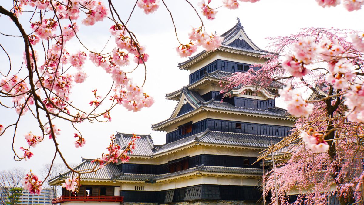 Burg Matsumoto im Frühjahr: Ein Blick auf die historische Schönheit Japans