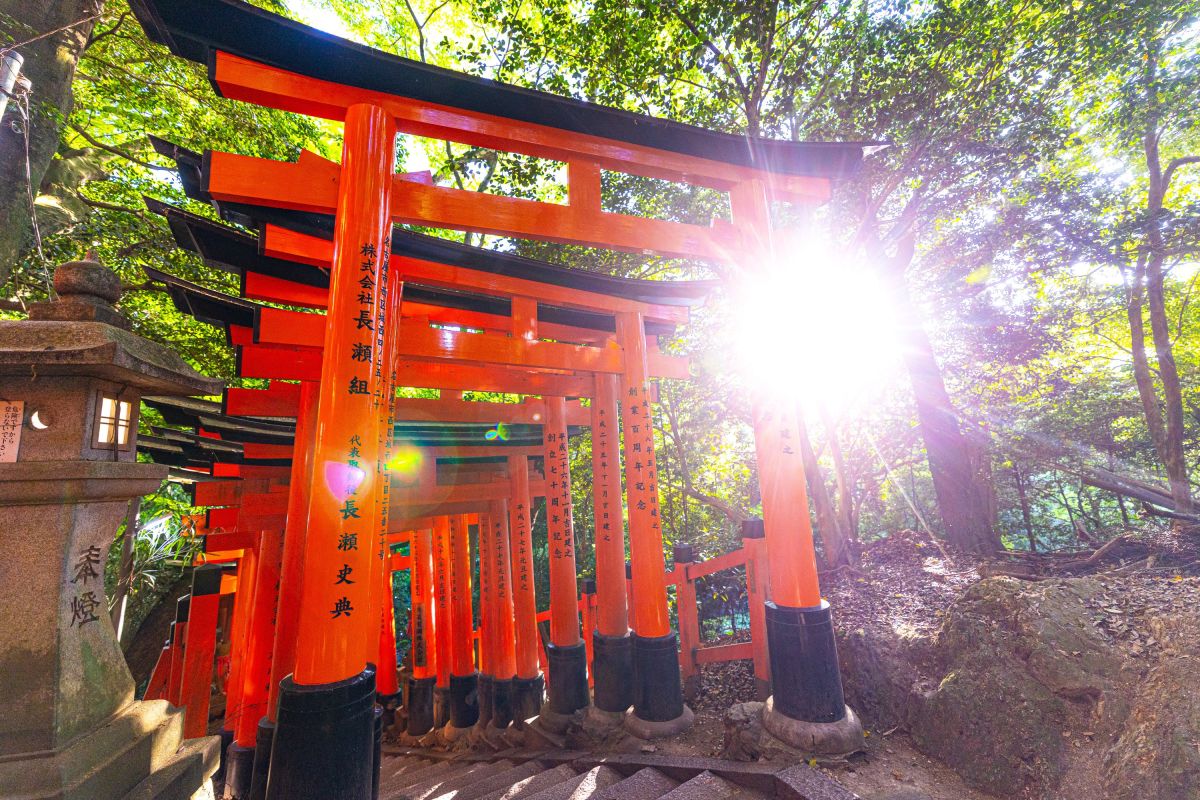 Leuchtende Torii im Wald von Kyoto öffnen den Weg zum Fushimi-Inari-Taisha-Schrein , Japan