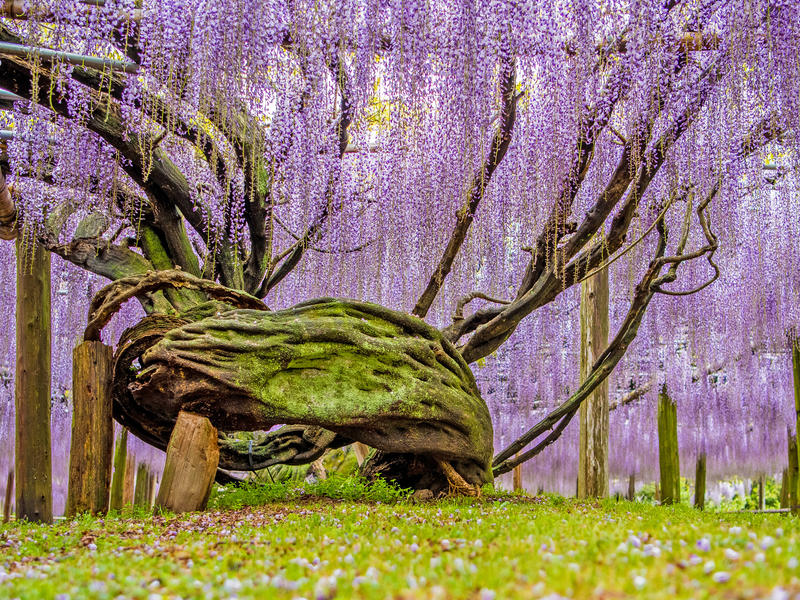 Fukuoka auf der Japanreise BS2811