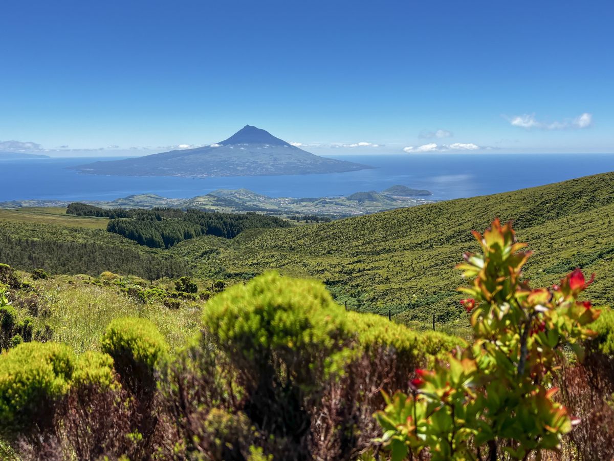 Panorama über Faial mit Blick zur Insel Pico