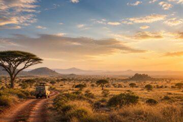 Safari-Fahrzeug auf einer Tansania Rundreise durch die Savanne bei Sonnenuntergang