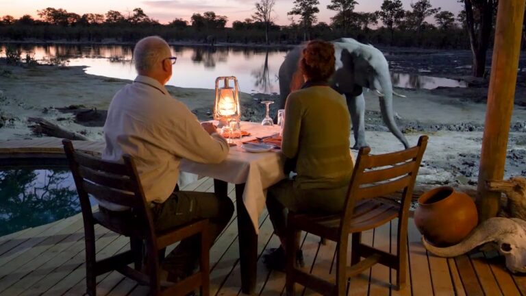 Reifes Reisepaar bei einem privaten Safari-Dinner mit Elefant in Botswana