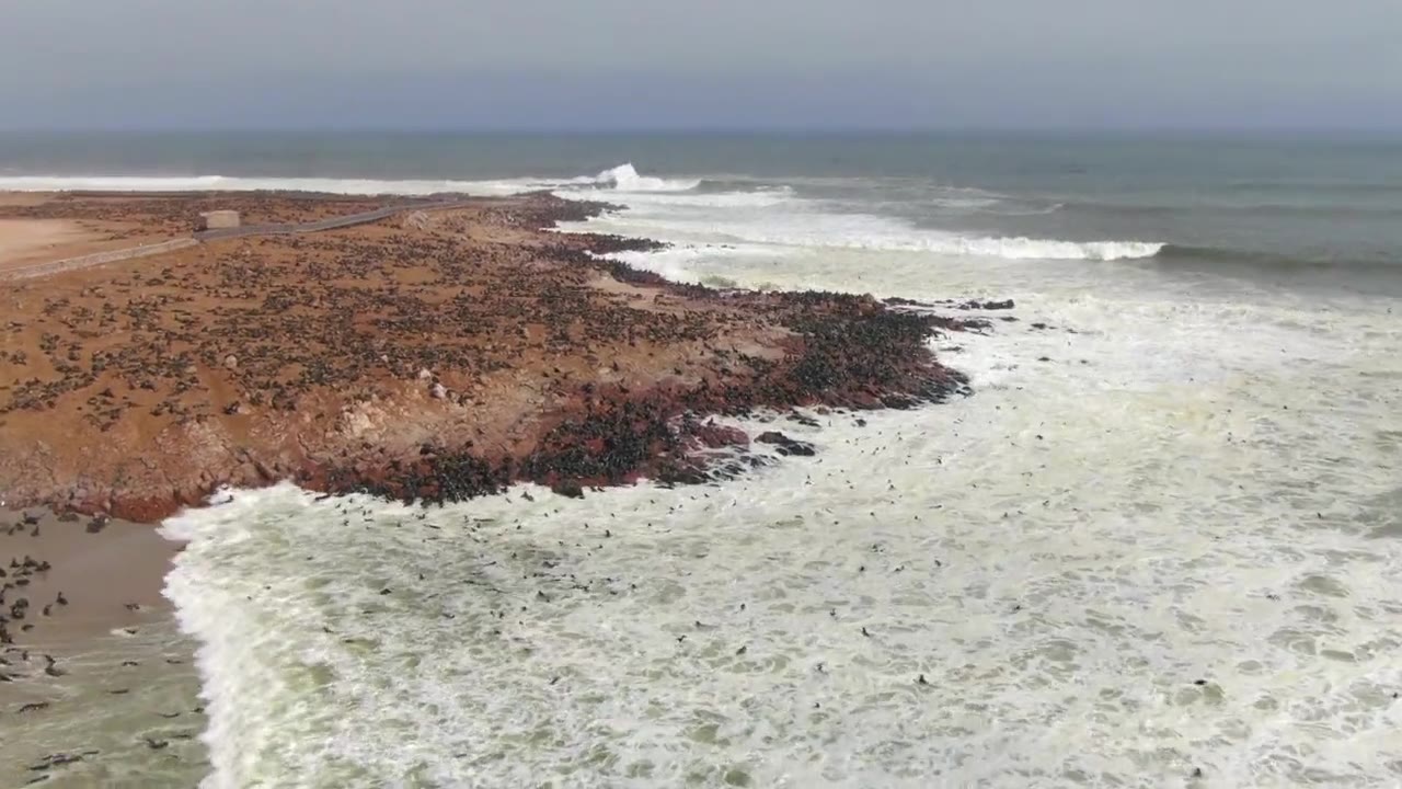 Robbenkolonie am Cape Cross Seal Reserve in Namibia