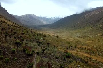 Berglandschaft im Mount-Kenya-Nationalpark