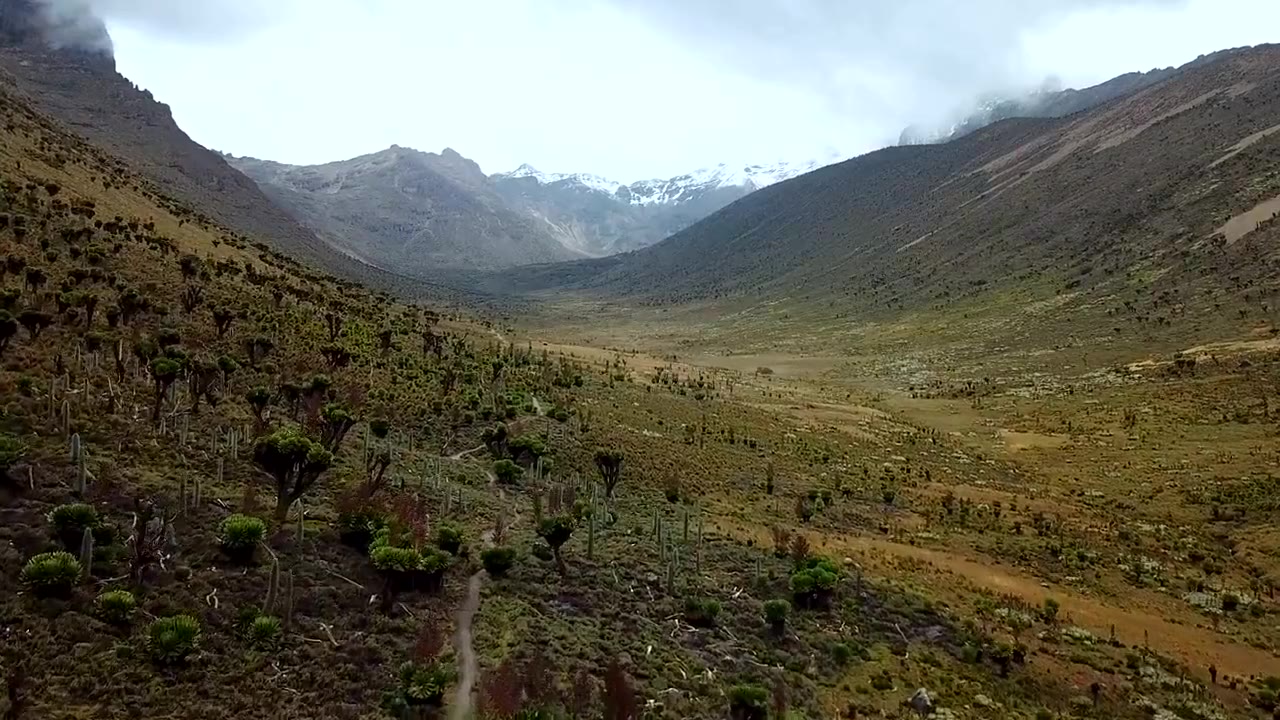 Berglandschaft im Mount-Kenya-Nationalpark