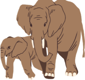 Elefant