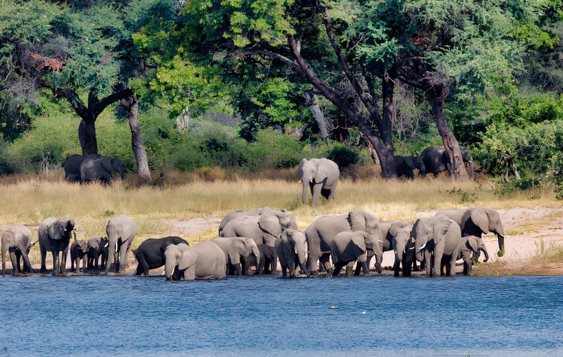 Rietfontein – Elefanten und Vogelwelt