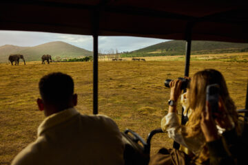Kleine Reisegruppe beobachtet Elefanten aus einem Safarifahrzeug in Südafrika
