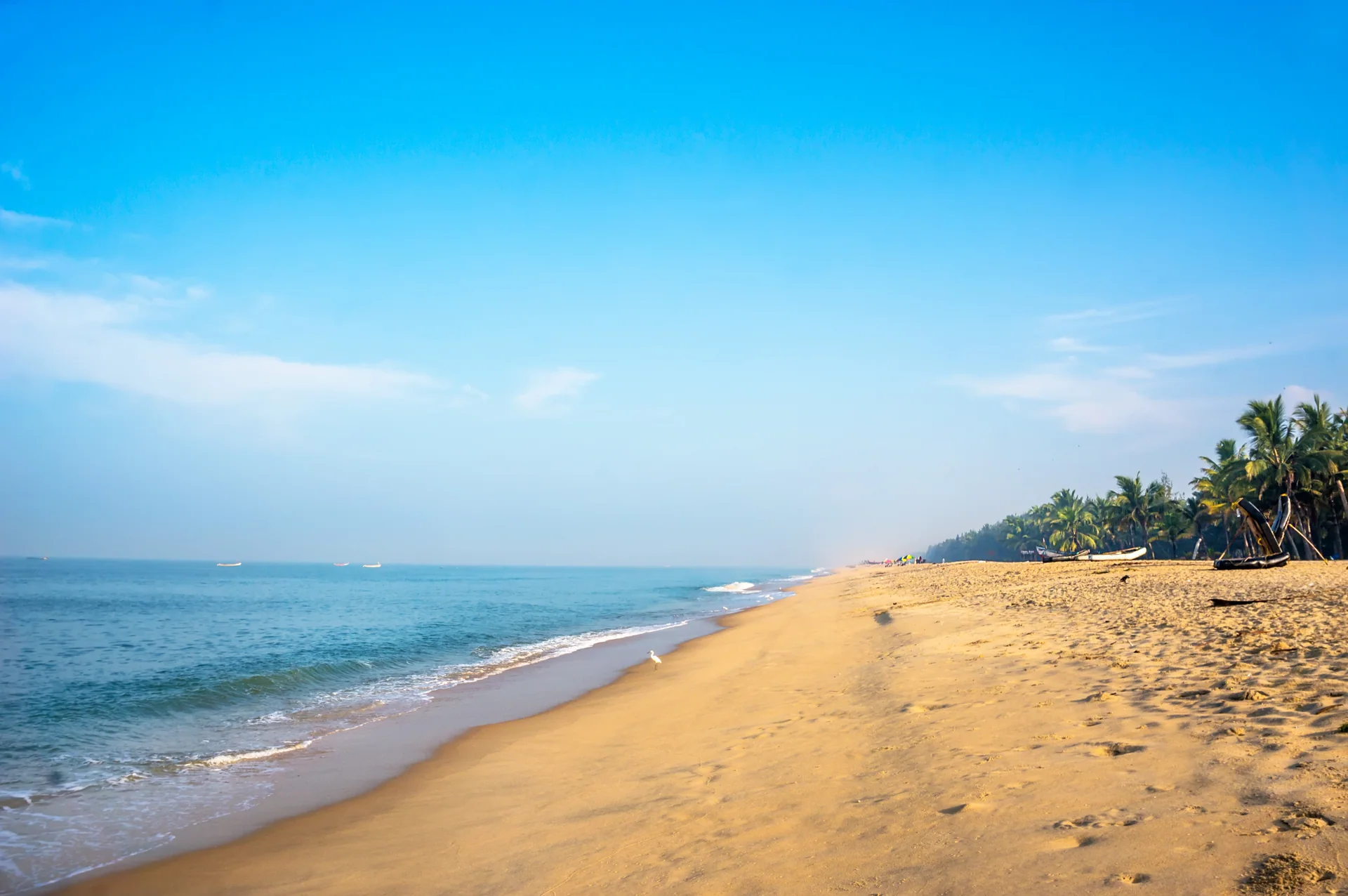 Weiter Sandstrand und Palmen bei Mararikulam an Keralas Küste