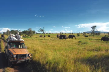 Safari-Gäste beobachten vom Geländewagen aus Elefanten in der Serengeti